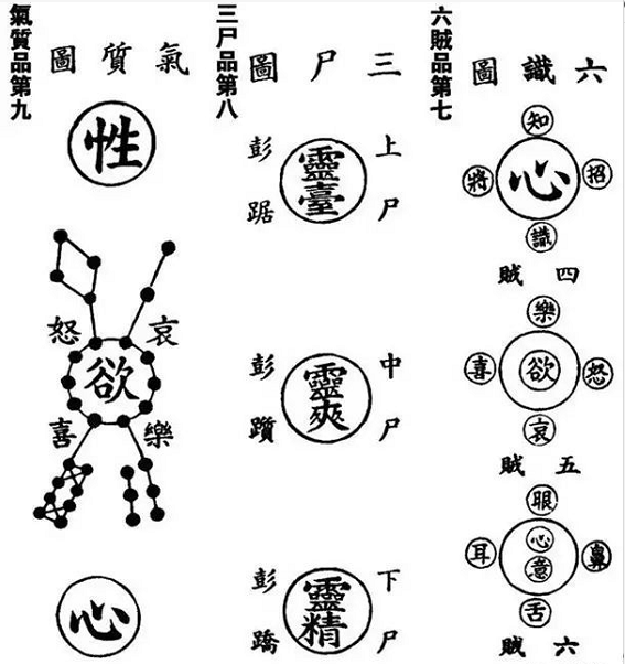 张至顺:气质品第九(炁体源流)